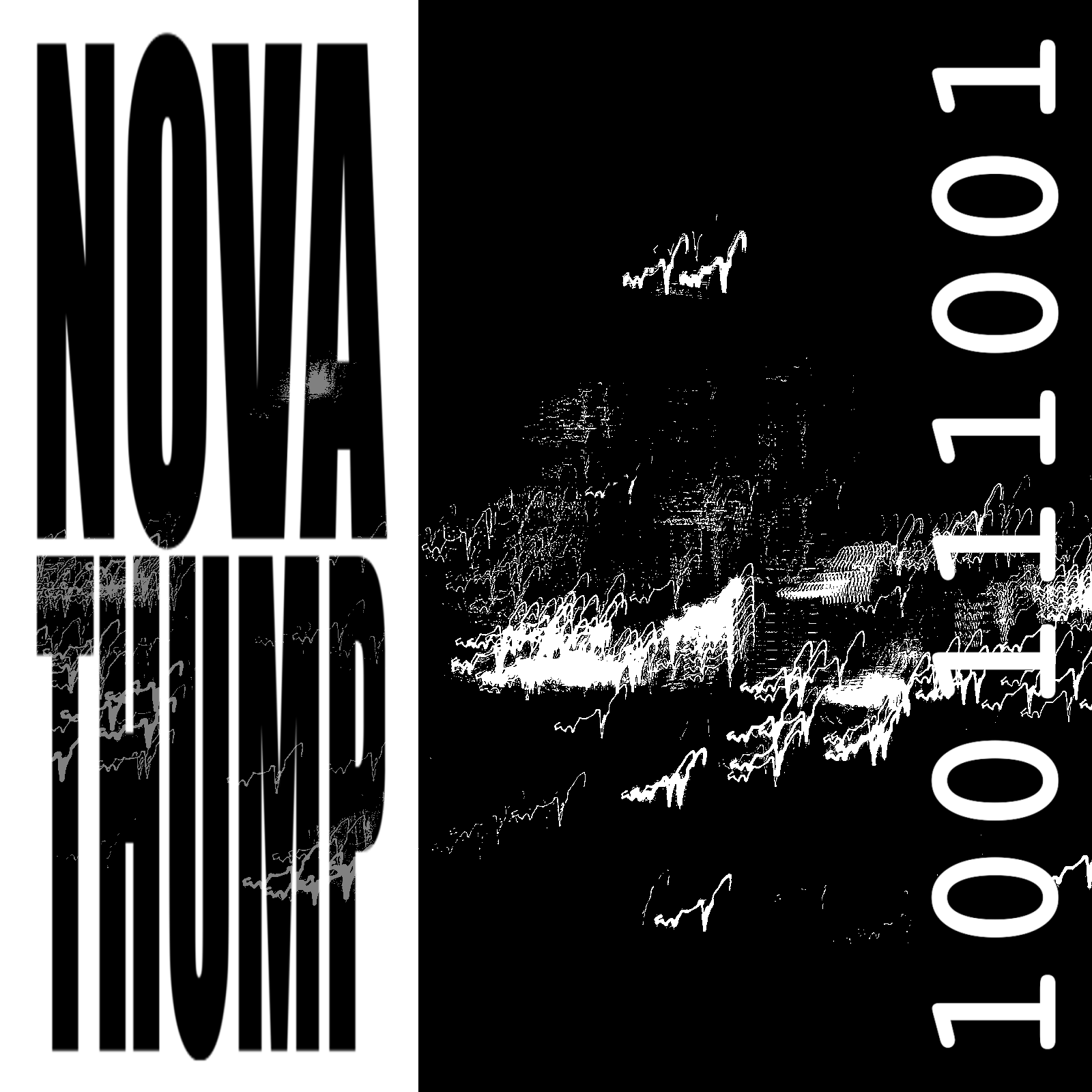 100111001, by Nova Thump